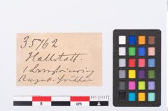 Etikett zu Bernsteinringperle (NHMW-PRAE-035762)